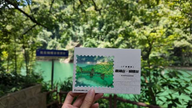 全新上线！把鼎湖山的美好“打包带走”！