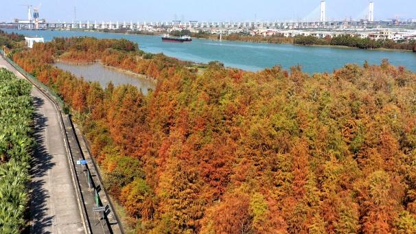 最近这里火了！出行提醒→