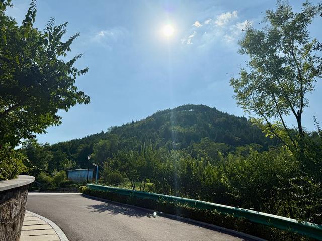 新视界｜茂岭山公园：曲径通幽处，“岭”略泉城美