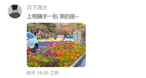 美出圈！来惠山走花路啦~