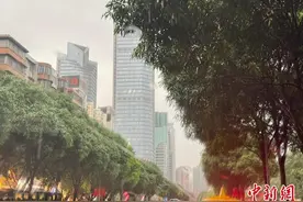 强降雨袭珠三角 中山部分镇街道“成河”鳄鱼“出逃”图片
