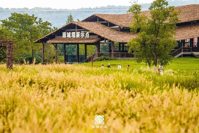 余杭“秋日恋歌”打卡地图出炉！