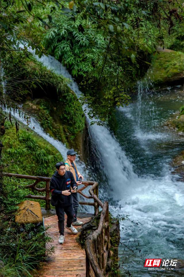 【每日一图@湖南】在古苗河百瀑大峡谷，山水滤尽了冬日的锋芒