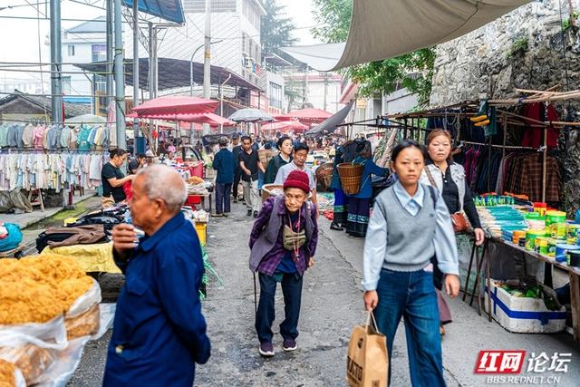 秋游时刻丨湘西苗族聚集地的赶集日常，藏着最鲜活的民族烟火