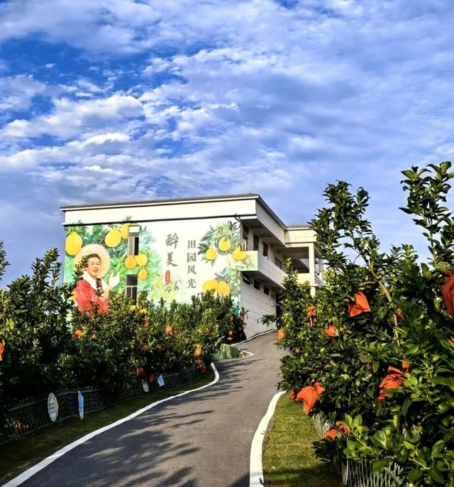 春天追花，冬日摘柚，这个小城是懂浪漫的！