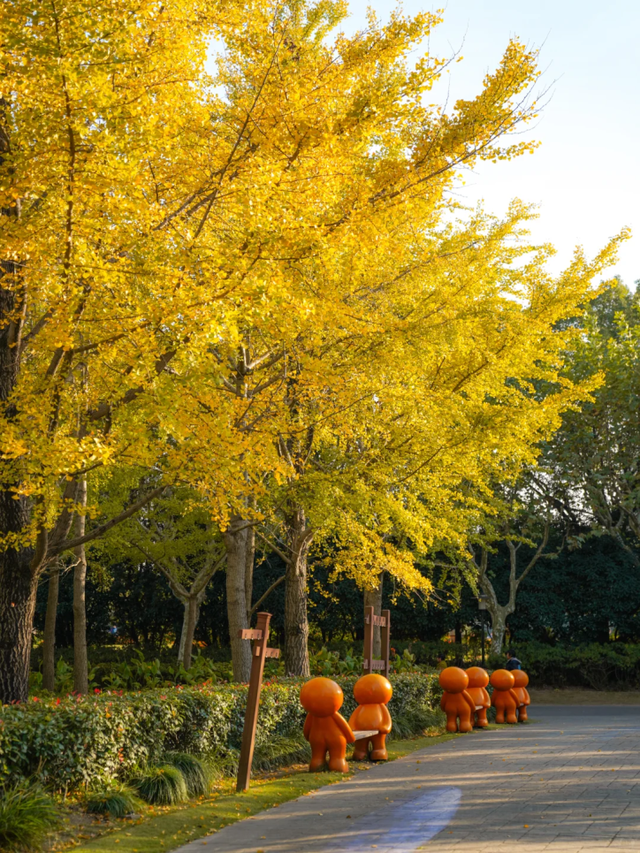 地铁直达！上海这个免费公园化身金色世界→