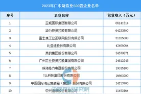 2023年广东制造业500强企业排行榜图片