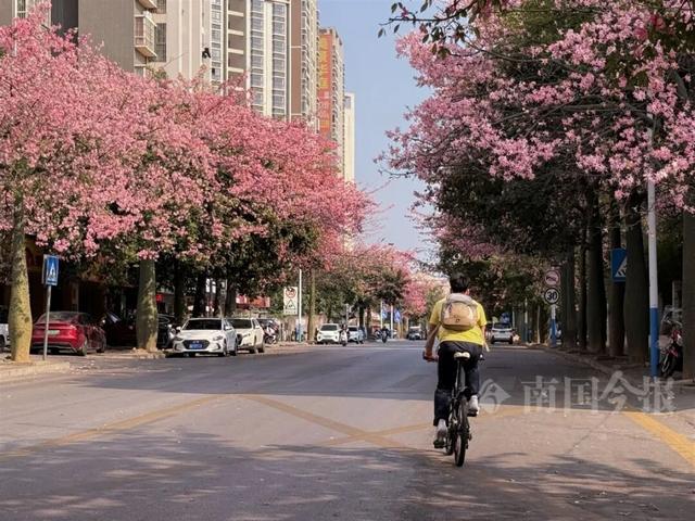 柳州，彩色刷屏！大反转也要来了！