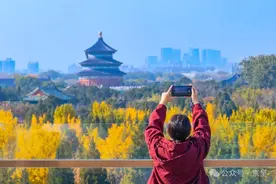 京城拍客｜把最美秋天留住图片