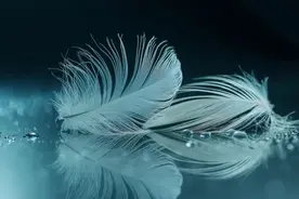 “如果没有移情，精神分析就是一场空”图片