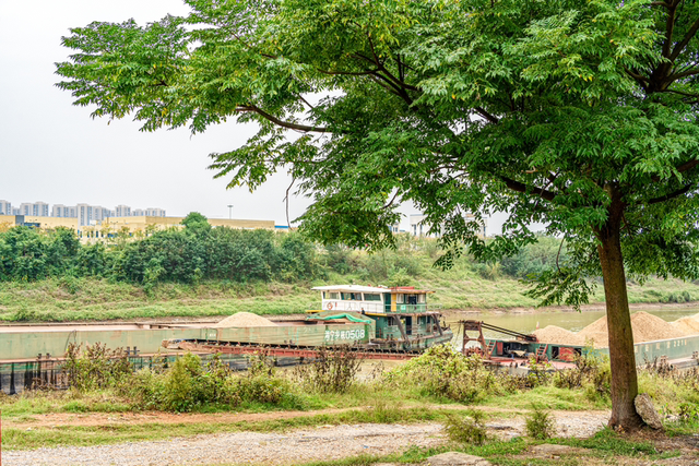 秋游白沙河草甸