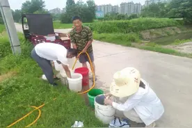 肥西县三河镇：全力抓好水稻病虫害防治工作图片