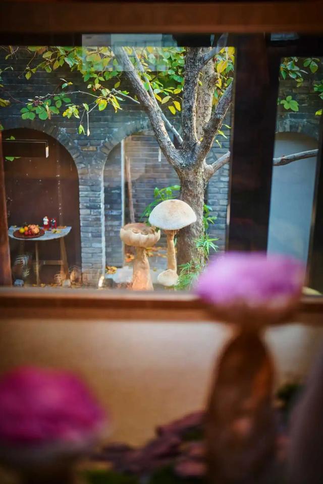 来东城这个胡同小院，邂逅蘑菇精灵的童话秘境——