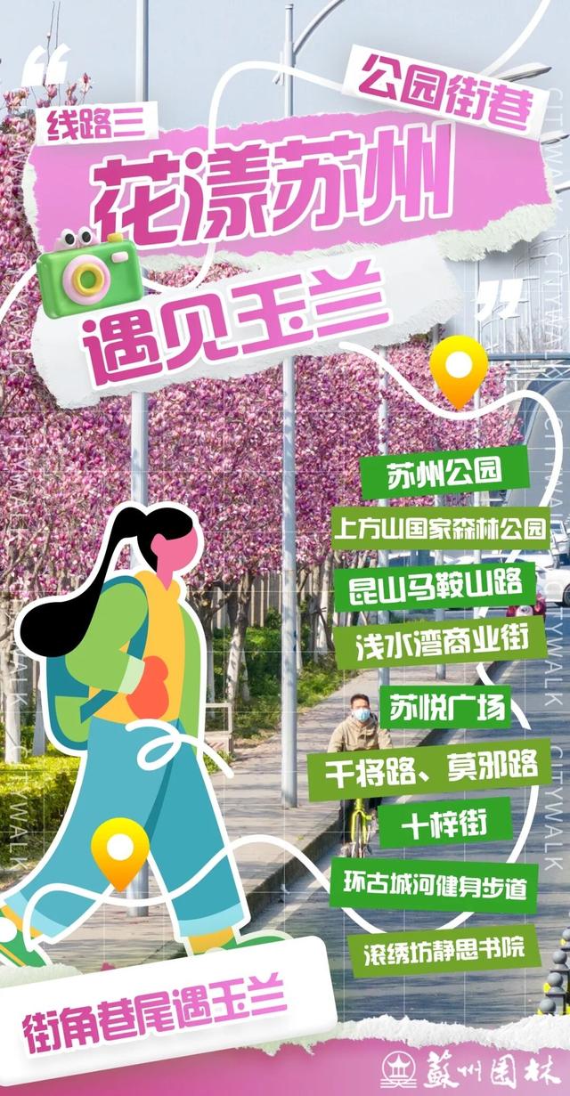 玉兰赏花地图请收好 100处点位、3条精品线路等你打卡