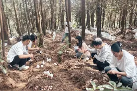 毕节：壮大乡村富民产业 激活乡村振兴动能图片