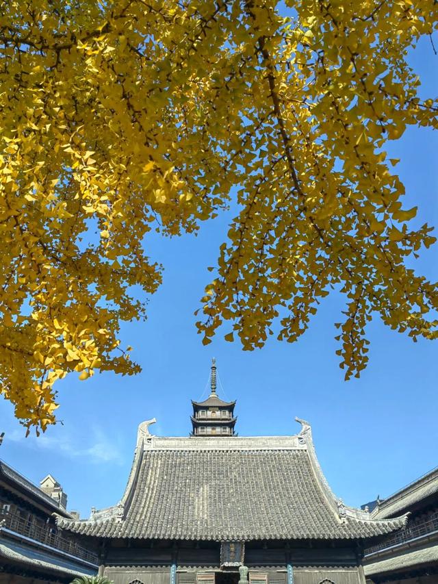 秋冬限定的普陀，美到让人流连忘返，你还不来打卡吗？