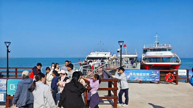 爆火！坐船去红岛，海上穿越跨海大桥，船上赏鸥、赏落日奇景……