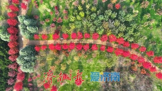 快来打卡公园景区秋色图鉴