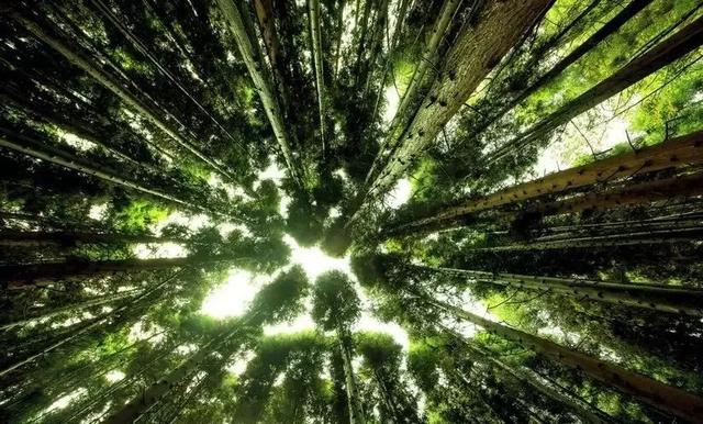 安逸四川 乐游绵阳 ‖ 一份来自北川的敬礼！教师专属文旅大礼包请查收！