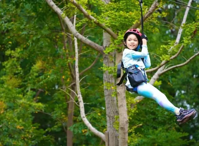 进博逛展意犹未尽？“上海之根”松江这3条主题线路，每款都藏惊喜～～～