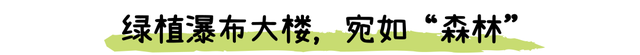 “深圳最能打的环湖小村,含绿量99%”