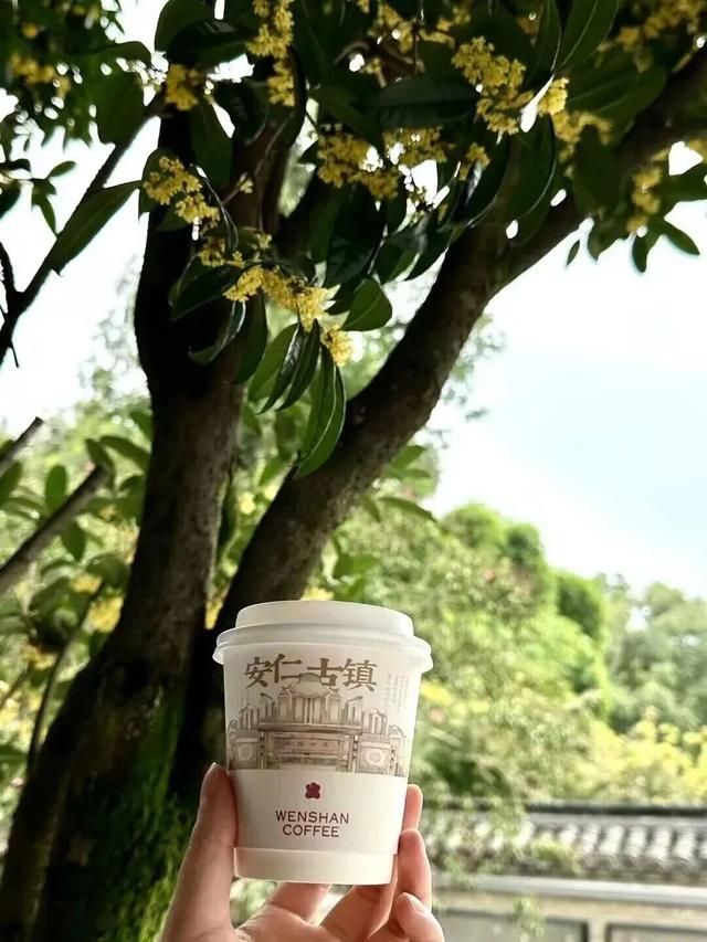 你闻，现在的大邑是桂花味儿的~