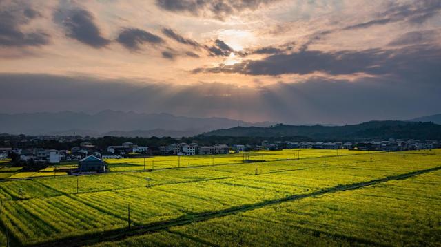 组图丨炎陵：公路在云雾中延伸，故事在田野间生长