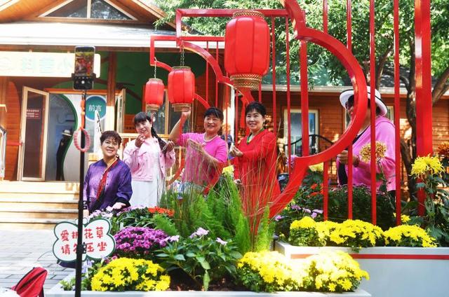太绝了！陶然亭公园菊花节开幕：日赏菊海夜追光影