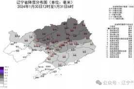 辽宁迎降雪天气，本溪市积极采取除雪措施图片