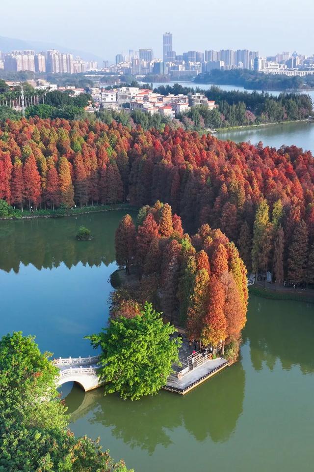 星湖秋冬推介会亮相！深圳、香港市民纷纷点赞