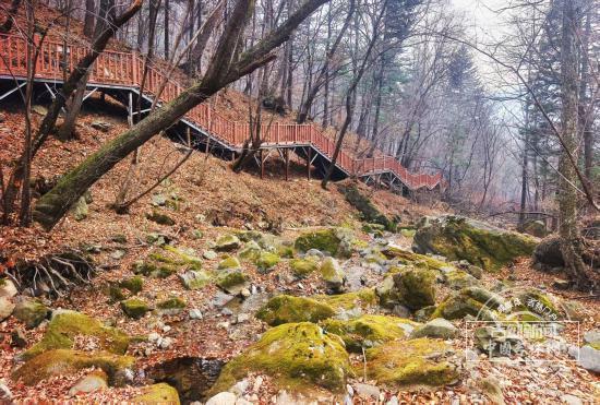 聚焦G334｜吉林第一高峰藏不住了！