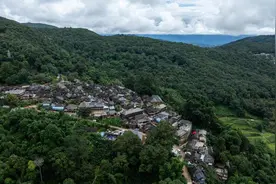 云南景迈山：千年茶事今更盛图片