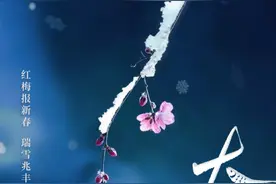 节令之美｜6日23时17分大雪：岁末听雪落，心中有清欢图片