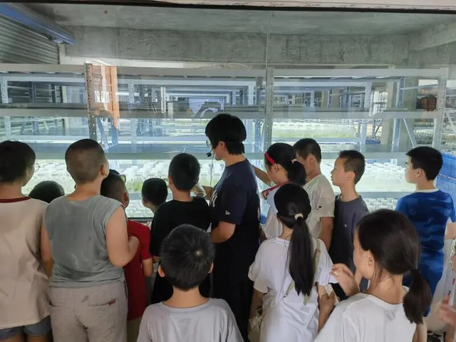 何须远行？亭林就藏着一条宝藏路线…