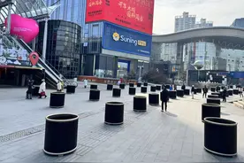 武汉光谷步行街通宵种植200棵樱花树，回应：春晚后迎来游客高峰，想让樱花准时绽放图片