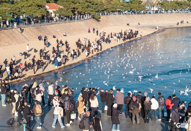 青岛冬日的海，是这座城市的浪漫注脚