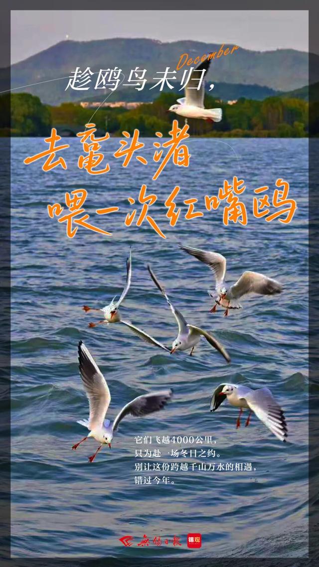 在无锡，把12月过成限定款