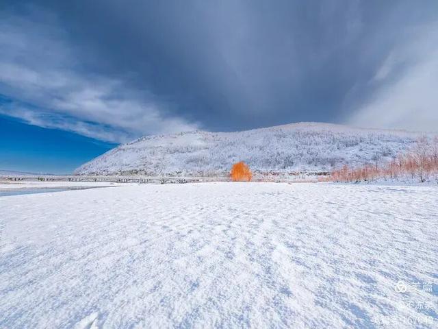 冷极秘境——2025年呼中的冬雪魅景