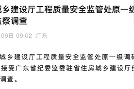 广东省住房和城乡建设厅工程质量安全监管处原一级调研员彭鸡宝被查图片