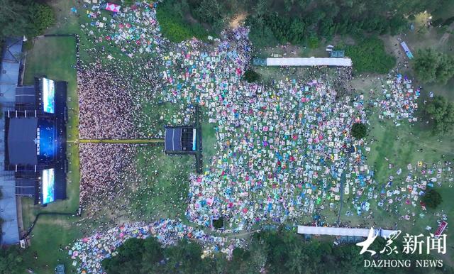 东营：文汇河海 草坪音乐节燃情夏日