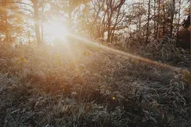 教育部下达2025年退役大学生士兵专项硕士研究生招生计划 北京大学、清华大学等523所普通高等学校承担图片