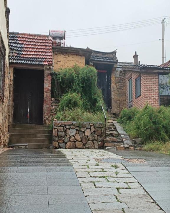 雨后里口山，邀您来“Mountain—Walk”