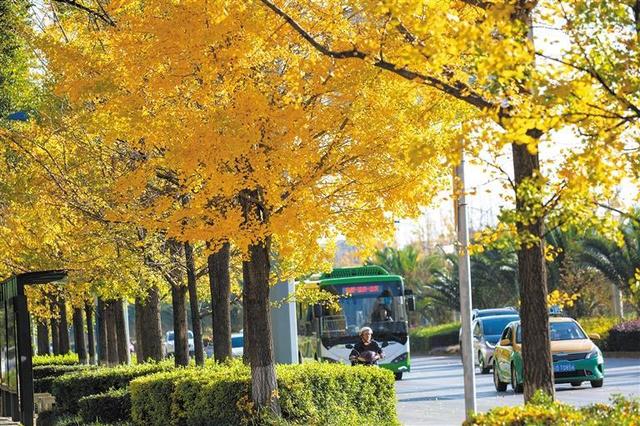 冬日尽斑斓 城市如诗画