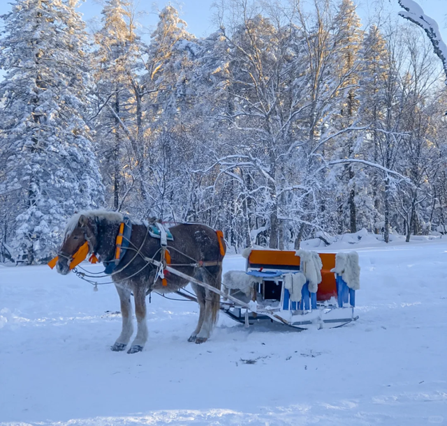 连休5天！在延边“薅羊毛” 把快乐焊在冰雪里