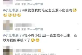 小红书又崩了背后：疑陷“送养领养孩子”风波，曾多次因“技术故障”致歉丨大鱼财经图片