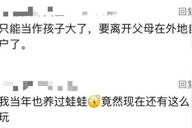 热闻|手游《旅行青蛙》宣布终止运营，曾经热度力压《王者荣耀》，网友：爷青结！图片