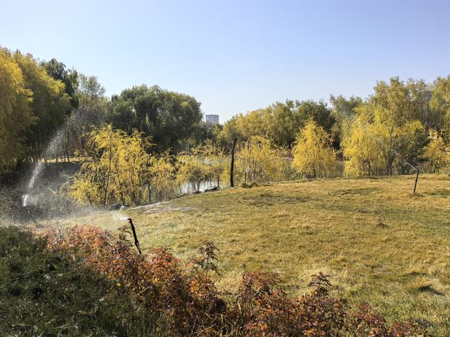 组图丨深秋海藏：天蓝水碧叶如金