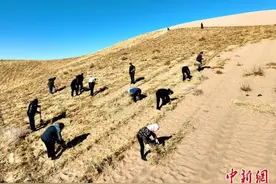 央媒看甘肃|甘肃民勤以风治沙：用自然之力修复自然图片