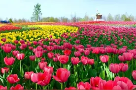 文末送票！五一，北京活动汇总来了！有免费！（第二波）图片