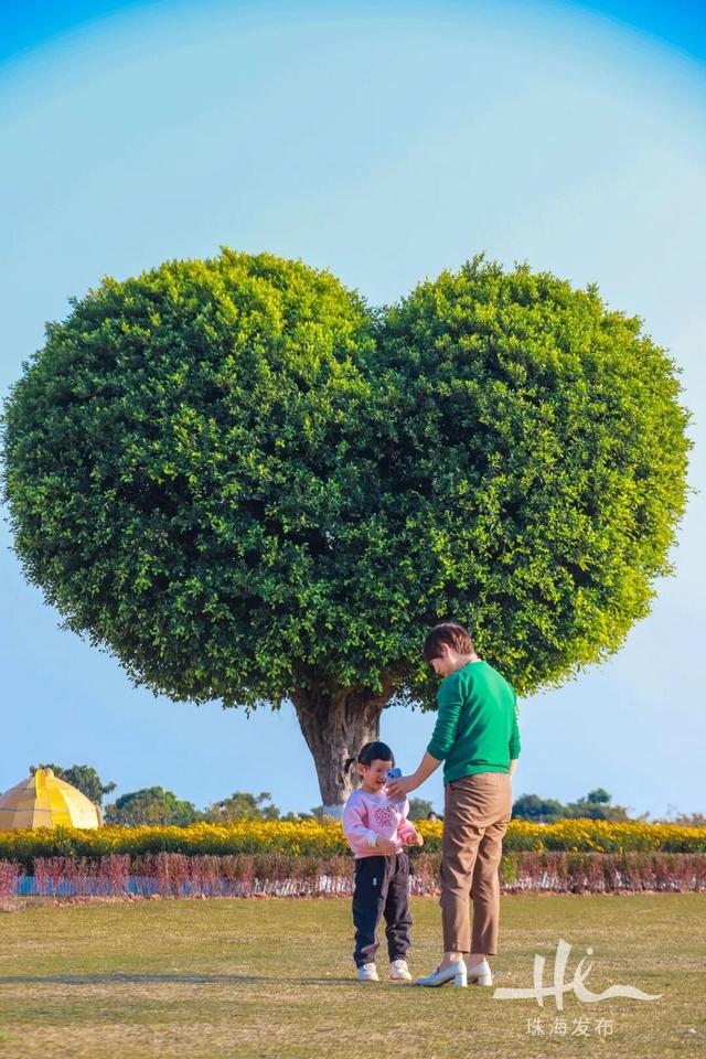上新！珠海“顶流爱心树”浪漫升级，出片率100%！